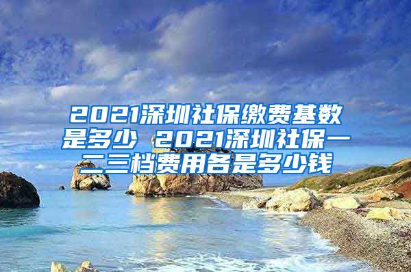 2021深圳社保缴费基数是多少 2021深圳社保一二三档费用各是多少钱