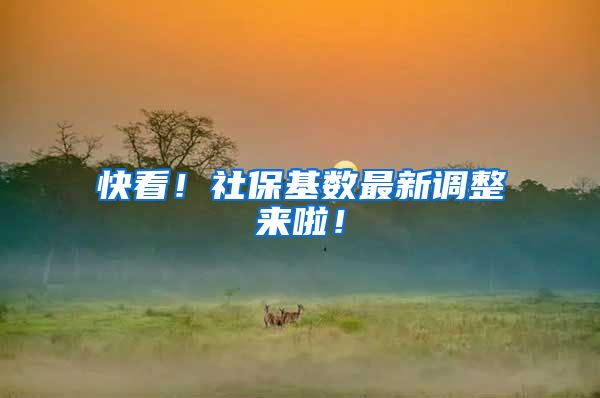 快看！社保基数最新调整来啦！