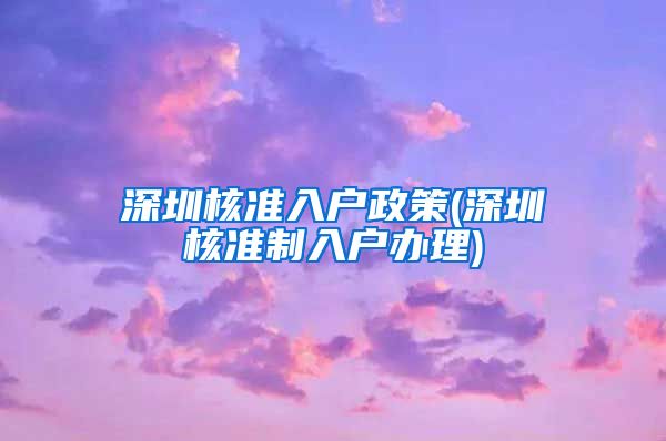 深圳核准入户政策(深圳核准制入户办理)