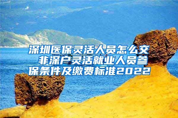深圳医保灵活人员怎么交 非深户灵活就业人员参保条件及缴费标准2022