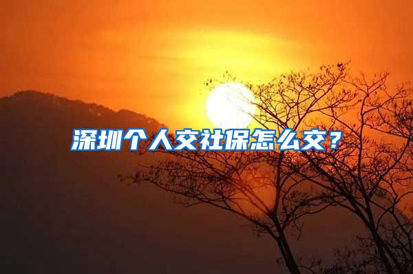 深圳个人交社保怎么交？