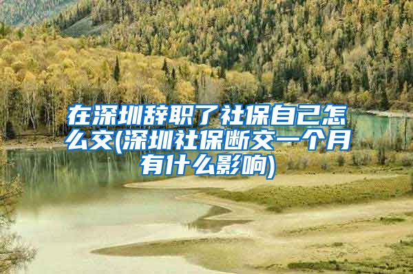 在深圳辞职了社保自己怎么交(深圳社保断交一个月有什么影响)