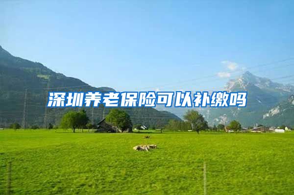 深圳养老保险可以补缴吗
