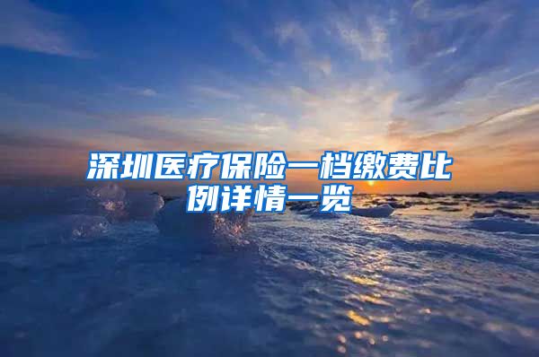 深圳医疗保险一档缴费比例详情一览