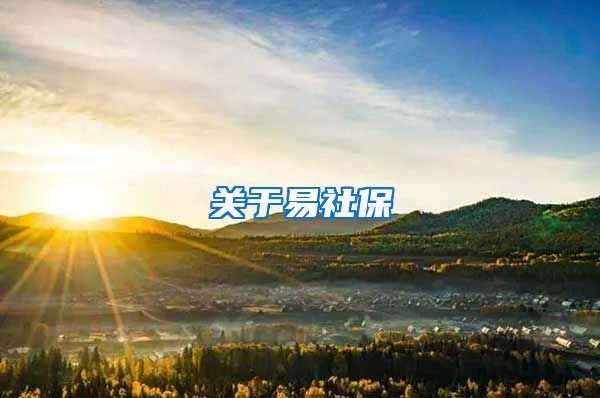 关于易社保