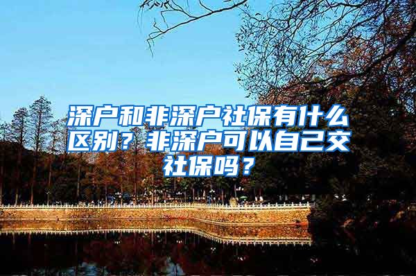 深户和非深户社保有什么区别？非深户可以自己交社保吗？