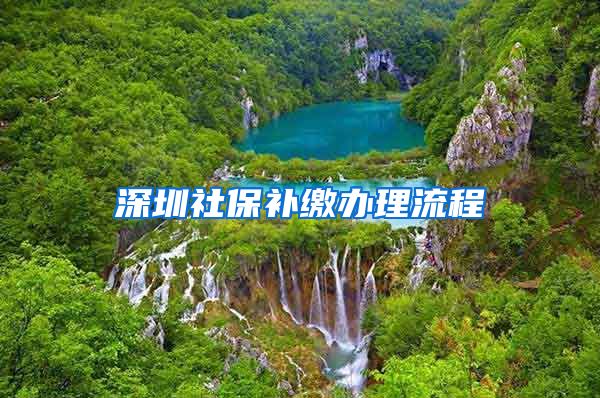 深圳社保补缴办理流程