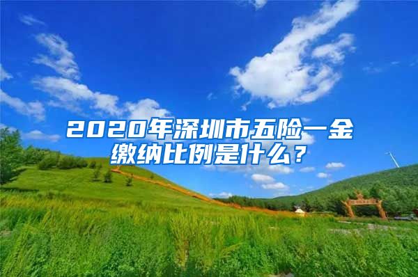 2020年深圳市五险一金缴纳比例是什么？