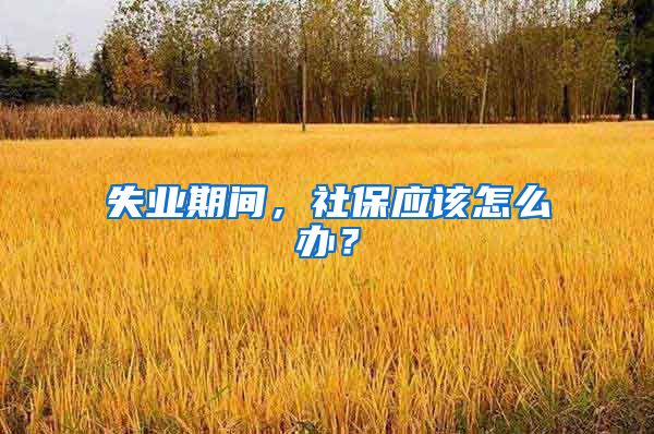 失业期间，社保应该怎么办？