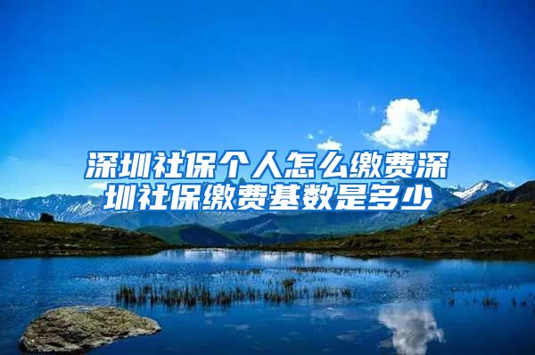 深圳社保个人怎么缴费深圳社保缴费基数是多少