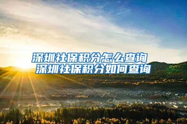 深圳社保积分怎么查询 深圳社保积分如何查询