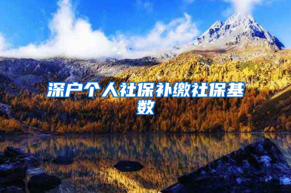 深户个人社保补缴社保基数