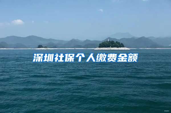 深圳社保个人缴费金额