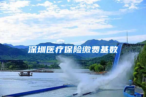 深圳医疗保险缴费基数