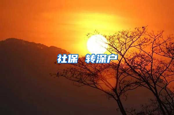 社保 转深户