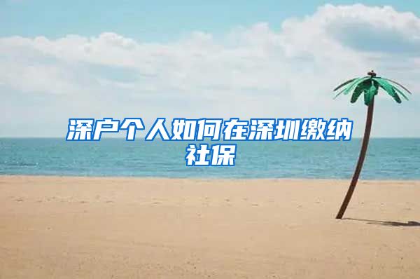 深户个人如何在深圳缴纳社保
