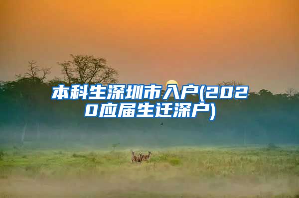 本科生深圳市入户(2020应届生迁深户)
