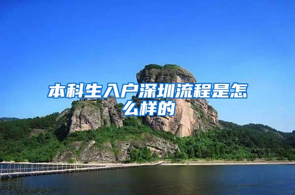 本科生入户深圳流程是怎么样的
