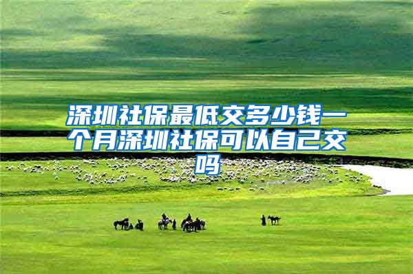 深圳社保最低交多少钱一个月深圳社保可以自己交吗