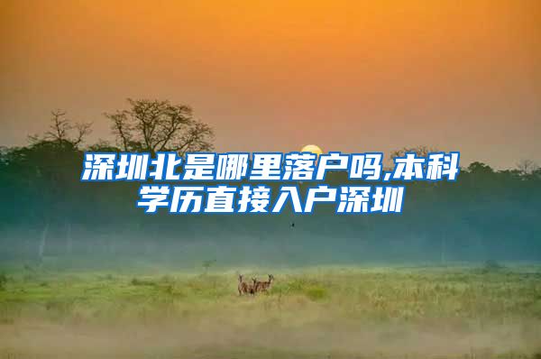 深圳北是哪里落户吗,本科学历直接入户深圳