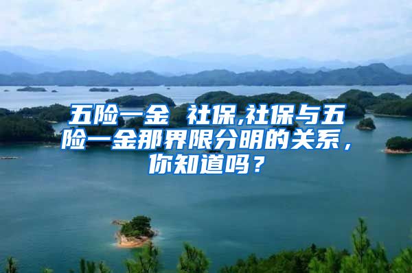 五险一金 社保,社保与五险一金那界限分明的关系，你知道吗？