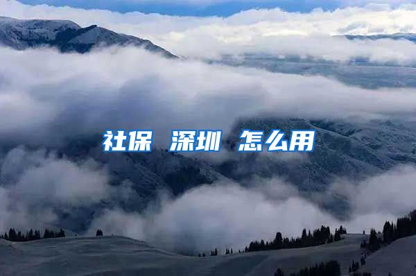 社保 深圳 怎么用