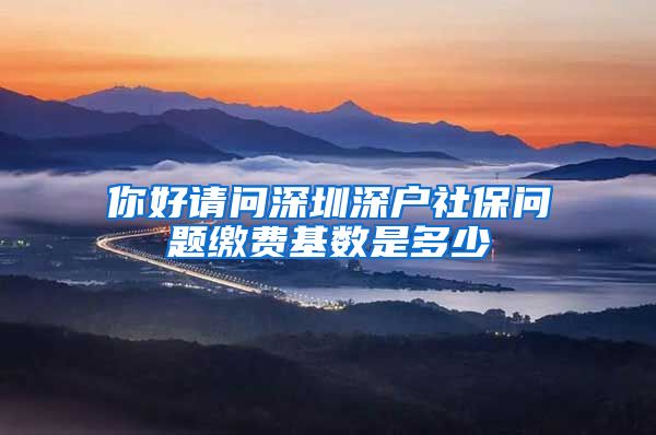 你好请问深圳深户社保问题缴费基数是多少