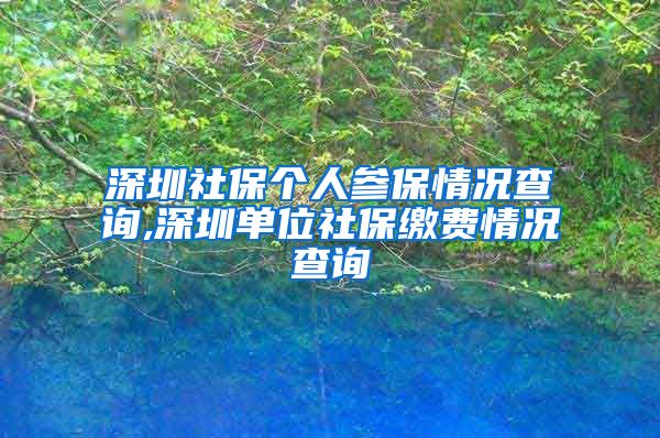 深圳社保个人参保情况查询,深圳单位社保缴费情况查询