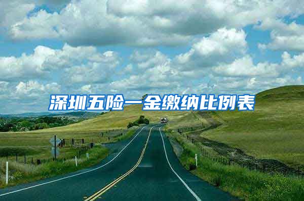 深圳五险一金缴纳比例表