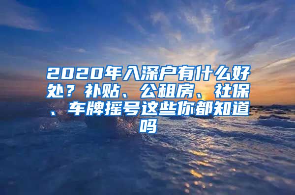 2020年入深户有什么好处？补贴、公租房、社保、车牌摇号这些你都知道吗