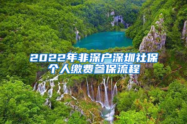 2022年非深户深圳社保个人缴费参保流程