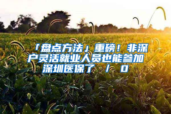 「盘点方法」重磅！非深户灵活就业人员也能参加深圳医保了 ／ 0