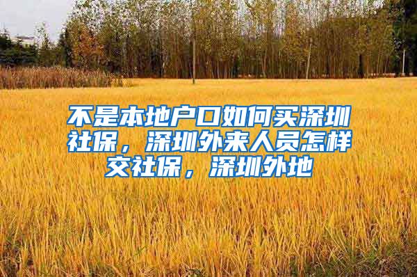 不是本地户口如何买深圳社保，深圳外来人员怎样交社保，深圳外地