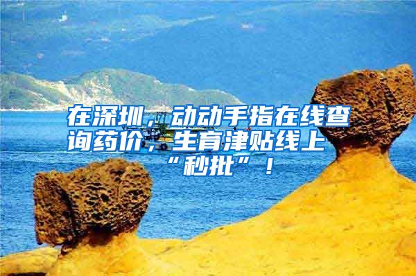 在深圳，动动手指在线查询药价，生育津贴线上“秒批”！