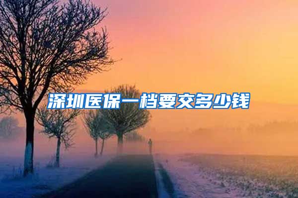 深圳医保一档要交多少钱