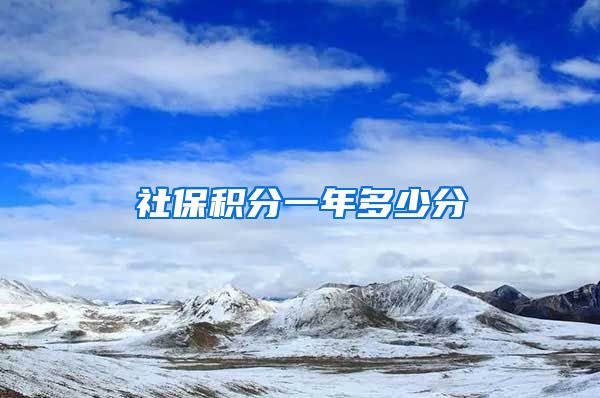 社保积分一年多少分