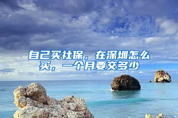 自己买社保，在深圳怎么买，一个月要交多少