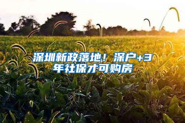 深圳新政落地！深户+3年社保才可购房