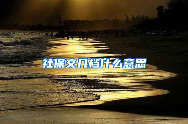 社保交几档什么意思