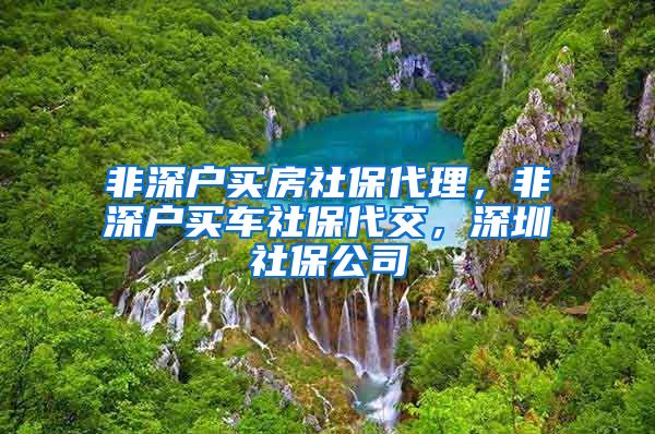 非深户买房社保代理，非深户买车社保代交，深圳社保公司