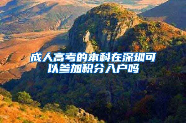 成人高考的本科在深圳可以参加积分入户吗