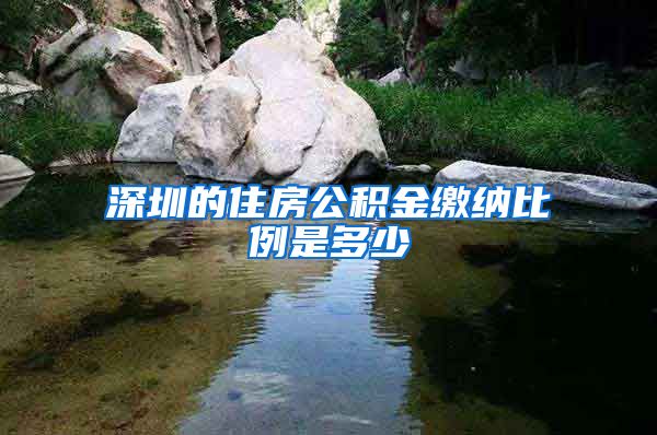 深圳的住房公积金缴纳比例是多少