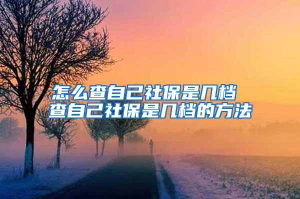 怎么查自己社保是几档 查自己社保是几档的方法