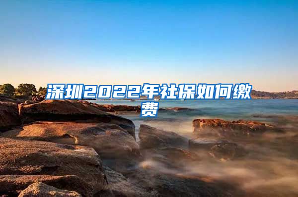 深圳2022年社保如何缴费