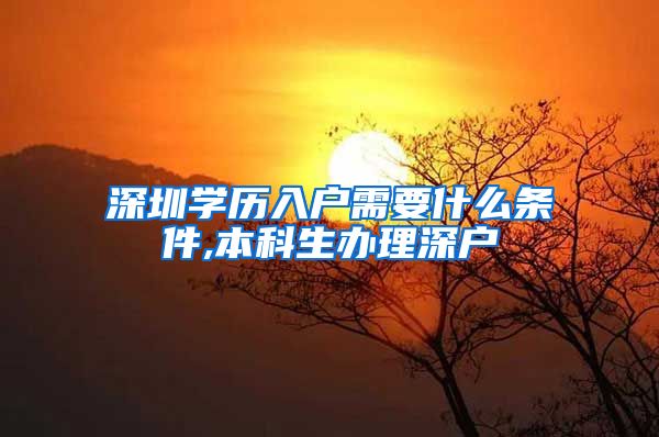 深圳学历入户需要什么条件,本科生办理深户