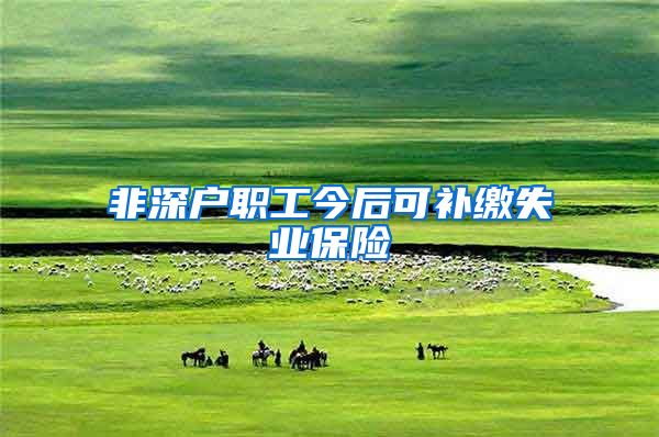 非深户职工今后可补缴失业保险