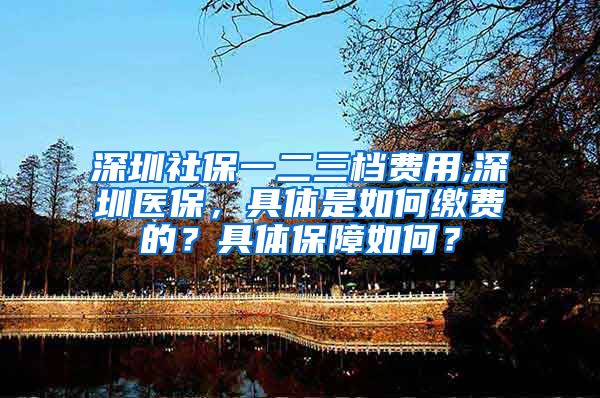 深圳社保一二三档费用,深圳医保，具体是如何缴费的？具体保障如何？