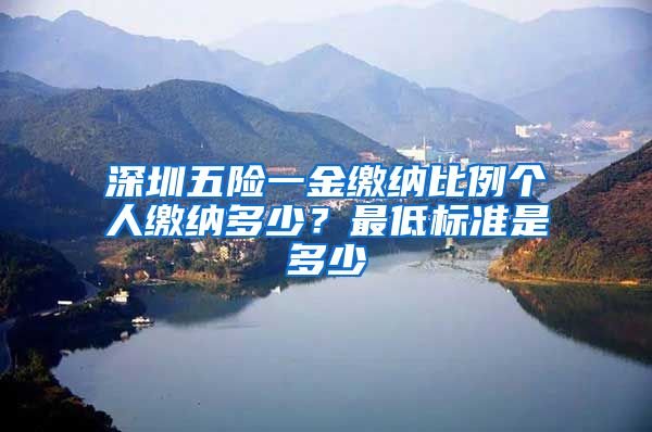深圳五险一金缴纳比例个人缴纳多少？最低标准是多少
