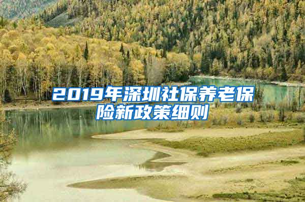 2019年深圳社保养老保险新政策细则