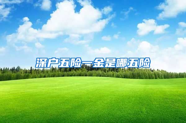 深户五险一金是哪五险